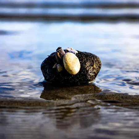 Ostseekueste 16 Σπίτι διακοπών