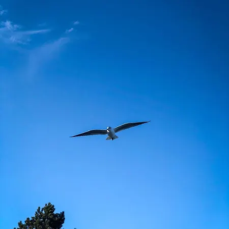 Ostseekueste 16 Σπίτι διακοπών Γκλύξμπουργκ