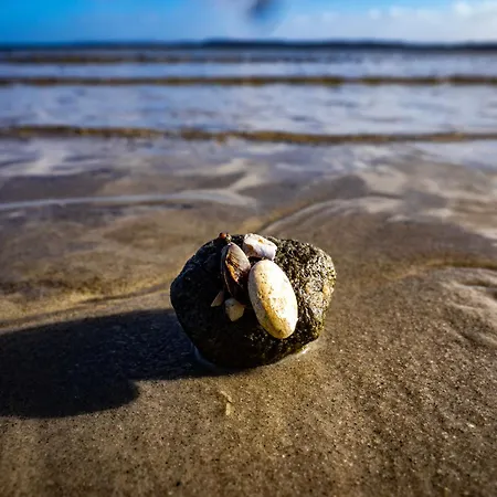 Ostseekueste 16 Σπίτι διακοπών Γκλύξμπουργκ