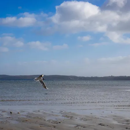 Ostseekueste 16 * Γκλύξμπουργκ