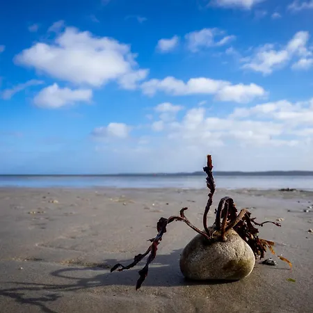 Ostseekueste 16 Σπίτι διακοπών